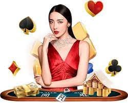 paket4d login Dragon Tiger payout table and betting rules displayed on studio monitor